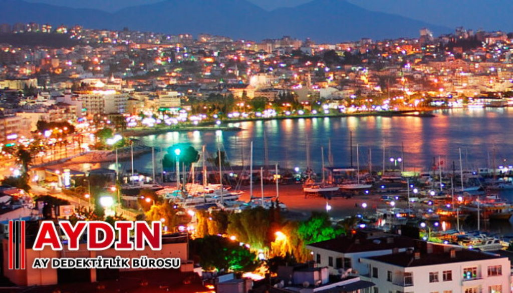 Aydın Dedektif