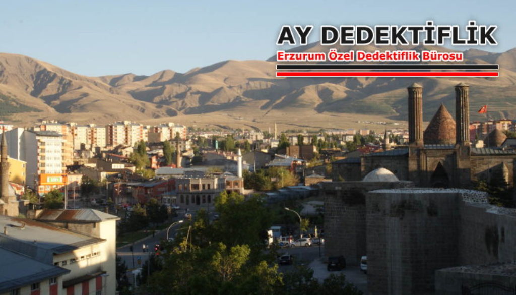 Erzurum Dedektif