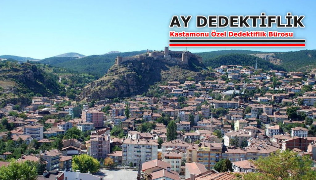 Kastamonu Dedektiflik Bürosu