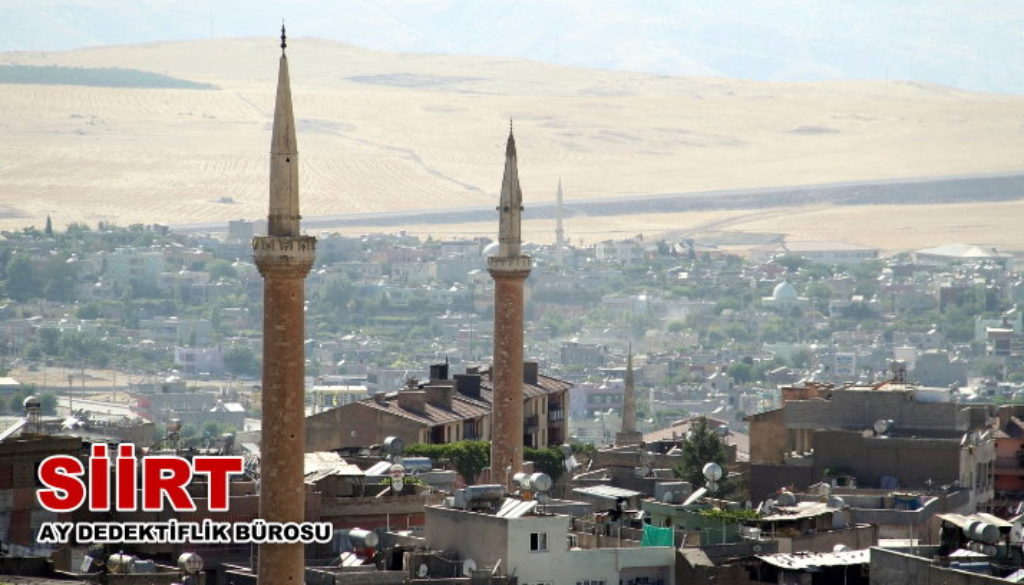 Siirt Dedektiflik Bürosu